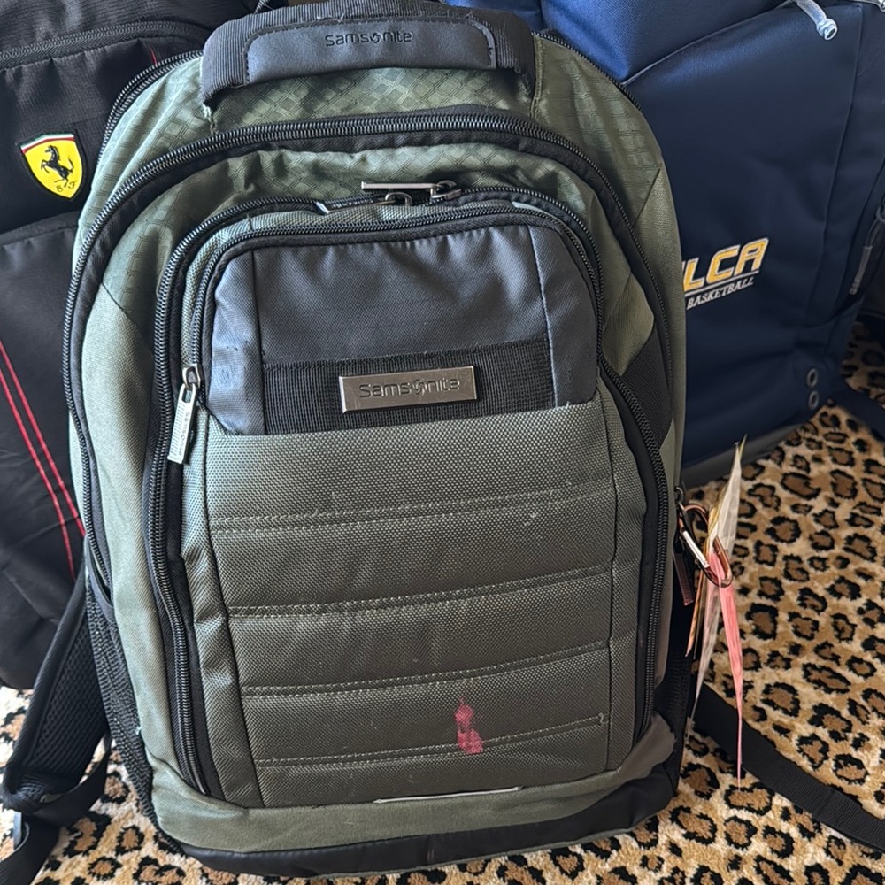 Samsonite backpack